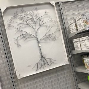 Meet your Posher, Jaden